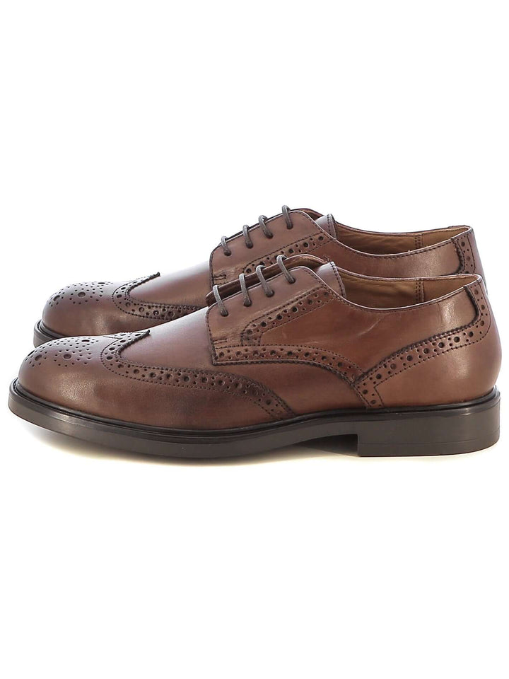 Scarpe derby uomo GREENWOOD PALEK-AW24-01 marrone | Costa Superstore