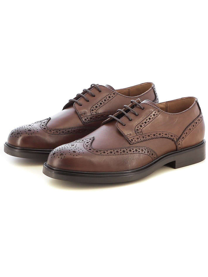 Scarpe derby uomo GREENWOOD PALEK-AW24-01 marrone | Costa Superstore