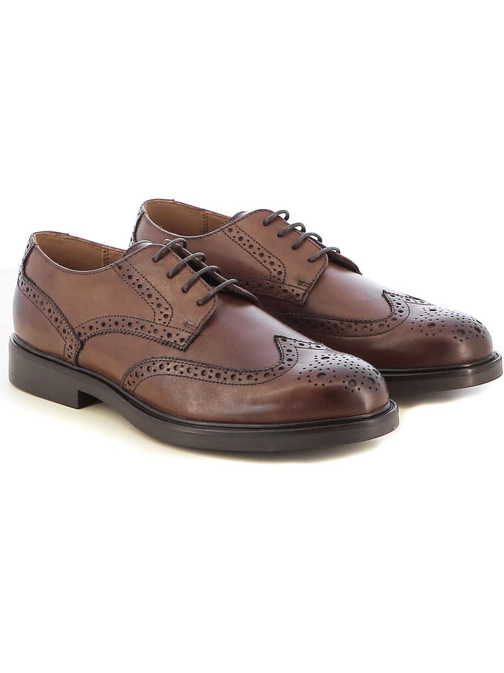 Scarpe derby uomo GREENWOOD PALEK-AW24-01 marrone | Costa Superstore